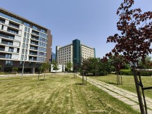 Reno12 Pro: 0.6x - f/2.2, ISO 64, 1/1779s - Oppo Reno12 Pro vs. Reno12