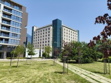 Reno12 Pro: 1x - f/1.8, ISO 80, 1/2526s - Oppo Reno12 Pro vs. Reno12