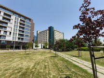 Reno12: 0.6x - f/2.2, ISO 50, 1/1500s - Oppo Reno12 Pro vs. Reno12