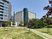 Reno12: 1x - f/1.8, ISO 80, 1/2326s - Oppo Reno12 Pro vs. Reno12