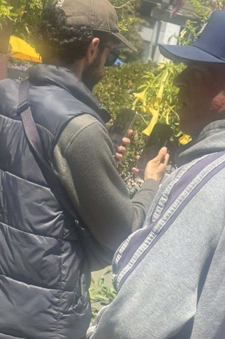 iPhone 16 Pro (left) and alleged iPhone 17 Pro (right)