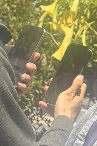 iPhone 16 Pro (left) and alleged iPhone 17 Pro (right)