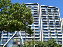 Wide-angle camera vivo X200 Ultra - f/1.7, ISO 71, 1/2653s - News 25 09 Cameraphone vs. Foldable  review