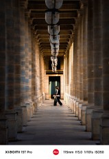 Xiaomi 15T Pro telephoto camera samples (note: compressed for X)