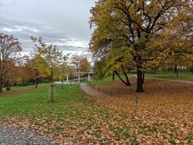 OnePlus 15 samples from the main camera (f/1.8, ISO 125, 1/459s)