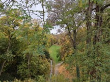 OnePlus 15 samples from the main camera (f/1.8, ISO 400, 1/244s)