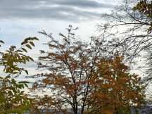 OnePlus 15 7x zoom camera samples (f/2.8, ISO 50, 1/396s)