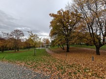 OnePlus 15 ultrawide camera samples (f/2.0, ISO 50, 1/823s)