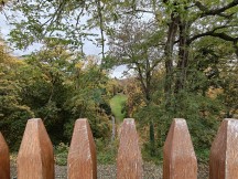 OnePlus 15 ultrawide camera samples (f/2.0, ISO 50, 1/112s)