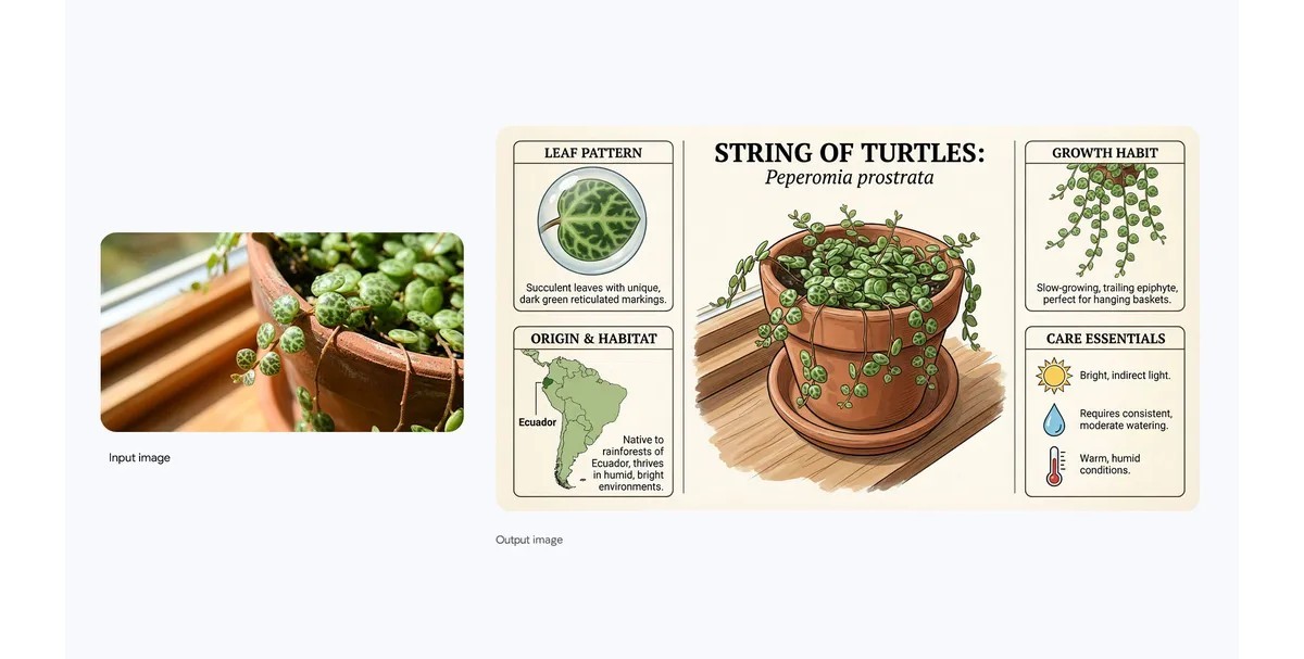 Google launches Nano Banana Pro based on Gemini 3