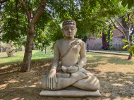 Primary camera, 50.3MP (High resolution), 1x magnification (23mm) (23mm, f/1.9, ISO 71, 1/417s, 8028x6020px)