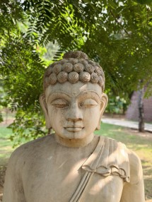 50mm (2.2x) (50mm, f/4.0, ISO 71, 1/303s, 3072x4096px)