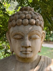 85mm (3.7x) (85mm, f/5.6, ISO 71, 1/103s, 3072x4096px)