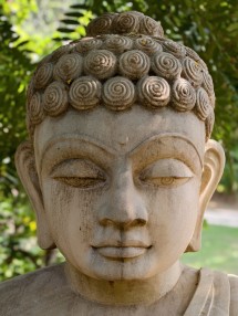 100mm (4.3x) (100mm, f/5.6, ISO 97, 1/101s, 3072x4096px)