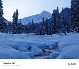 OnePlus 15T telefoto kamera örneği