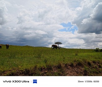 Vivo X300 Ultra kamera örneği