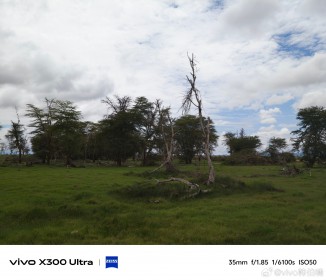Vivo X300 Ultra kamera örneği