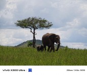 Vivo X300 Ultra telefoto kamera örneği
