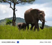 Vivo X300 Ultra telefoto kamera örneği