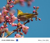 Vivo X300 Ultra telefoto kamera örneği