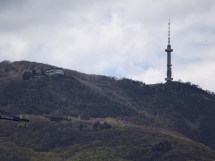 300mm lens ile çekilen fotoğraf 1