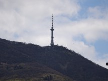 300mm lens ile çekilen fotoğraf 2