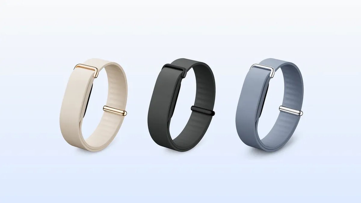Fitbit Air değiştirilebilir kayışlar