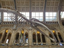 Galaxy Fold main camera samples - f/2.4, ISO 100, 1/78s - Samsung Galaxy Fold hands-on review