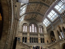 Galaxy Fold main camera samples - f/2.4, ISO 64, 1/70s - Samsung Galaxy Fold hands-on review