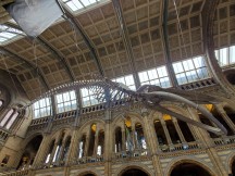 Galaxy Fold ultra wide camera samples - f/2.2, ISO 100, 1/70s - Samsung Galaxy Fold hands-on review