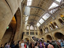 Galaxy Fold ultra wide camera samples - f/2.2, ISO 100, 1/36s - Samsung Galaxy Fold hands-on review