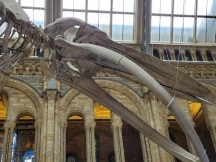 Galaxy Fold telephoto camera samples - f/2.4, ISO 80, 1/23s - Samsung Galaxy Fold hands-on review