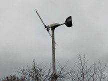 2x zoom daylight samples - f/1.9, ISO 100, 1/179s - Zte Axon 20 5g review