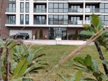 2x zoom daylight samples - f/1.9, ISO 213, 1/100s - Zte Axon 20 5g review