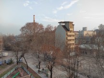 Main camera daylight samples - f/1.9, ISO 100, 1/238s - Zte Axon 20 5g review