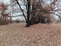 Main camera daylight samples - f/1.9, ISO 100, 1/101s - Zte Axon 20 5g review