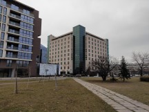 Main camera daylight samples - f/1.9, ISO 100, 1/201s - Zte Axon 20 5g review