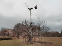 Main camera daylight samples - f/1.9, ISO 100, 1/125s - Zte Axon 20 5g review