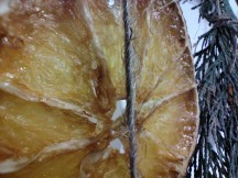 Macro samples - Zte Axon 20 5g review