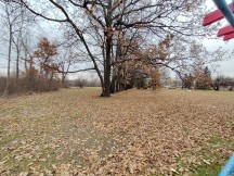 Ultra-wide daylight samples - f/2.2, ISO 100, 1/157s - Zte Axon 20 5g review