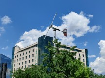 2x zoom daylight samples - f/1.8, ISO 100, 1/1629s - Realme GT Neo 3T review