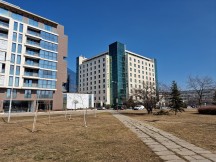 Daylight samples, main camera (1x) - f/1.8, ISO 50, 1/2036s - Samsung Galaxy S22 Ultra review