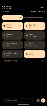 The colors of the Google Pixel 9 Pro series - Google Pixel 9 Pro XL review