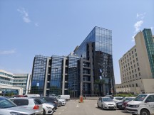 Daylight samples, main camera (1x) - f/1.6, ISO 50, 1/2075s - Poco F6 Pro review