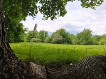 Daylight samples, main camera (1x) - f/1.6, ISO 50, 1/357s - Poco F6 Pro review