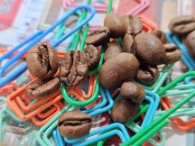 Main camera, closeups: 2x - f/1.6, ISO 50, 1/417s - Poco F6 Pro review