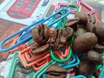 Daylight samples, 'macro' camera - Poco F6 Pro review