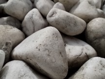 Redmi Note 13 4G: 2MP macro camera samples - Redmi Note 13 4G review