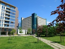 Main camera, 48MP mode - f/1.9, ISO 25, 1/800s - Sony Xperia 1 VI review