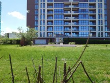 Main camera, 12MP - f/1.9, ISO 25, 1/500s - Sony Xperia 1 VI review